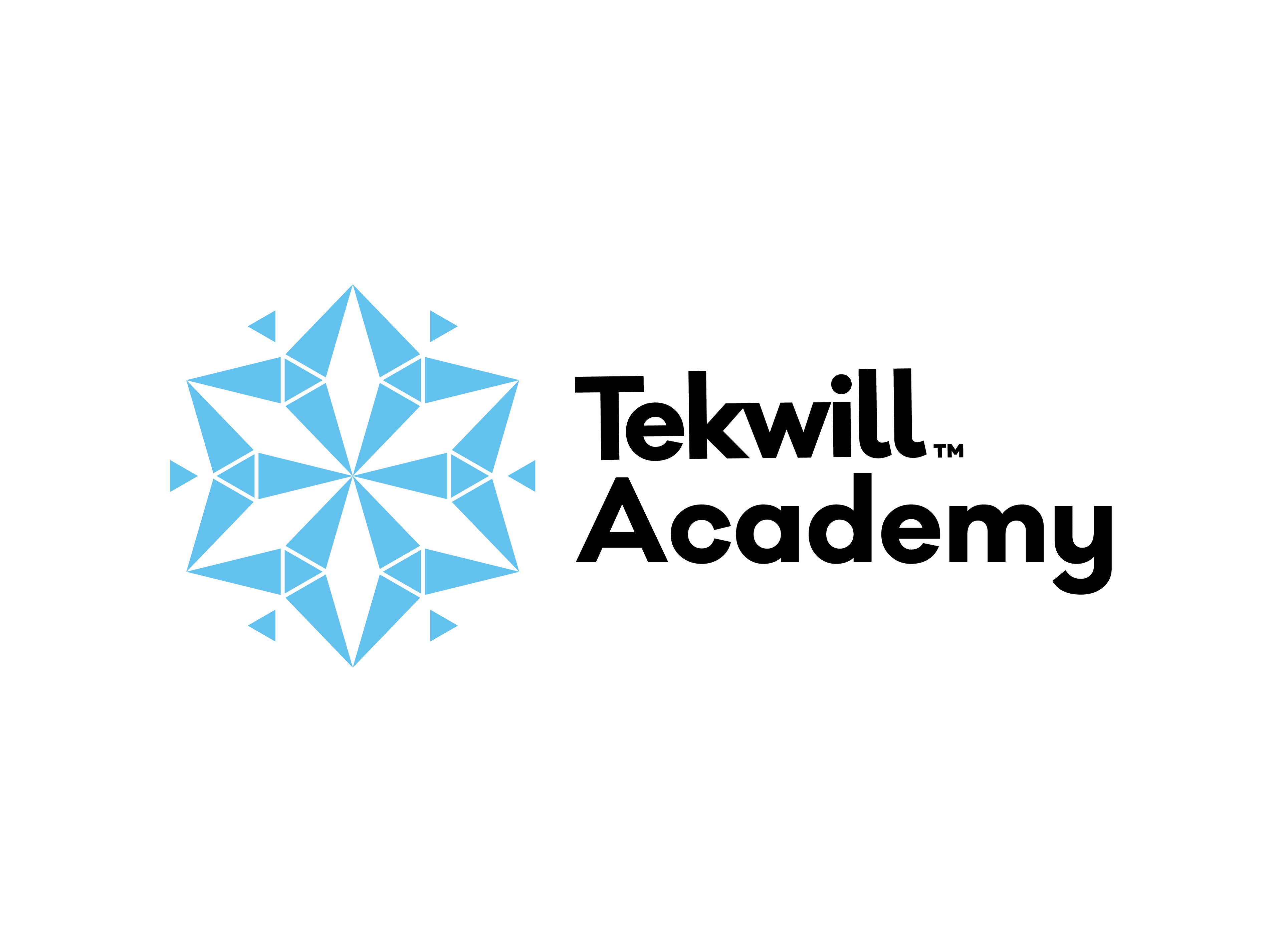 Tekwill Academy logo